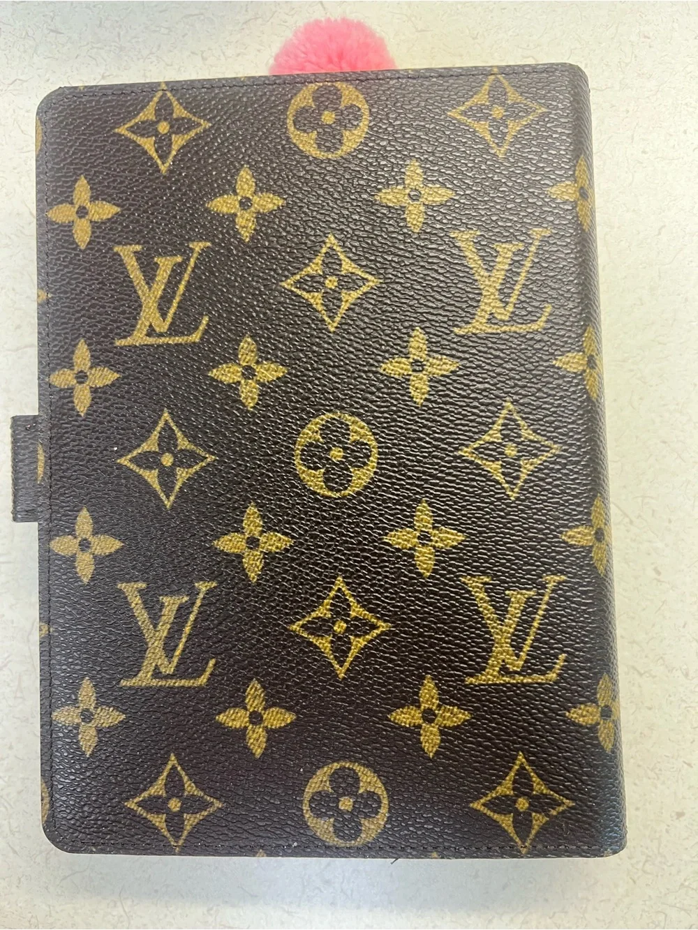 Louis Vuitton authentic louis